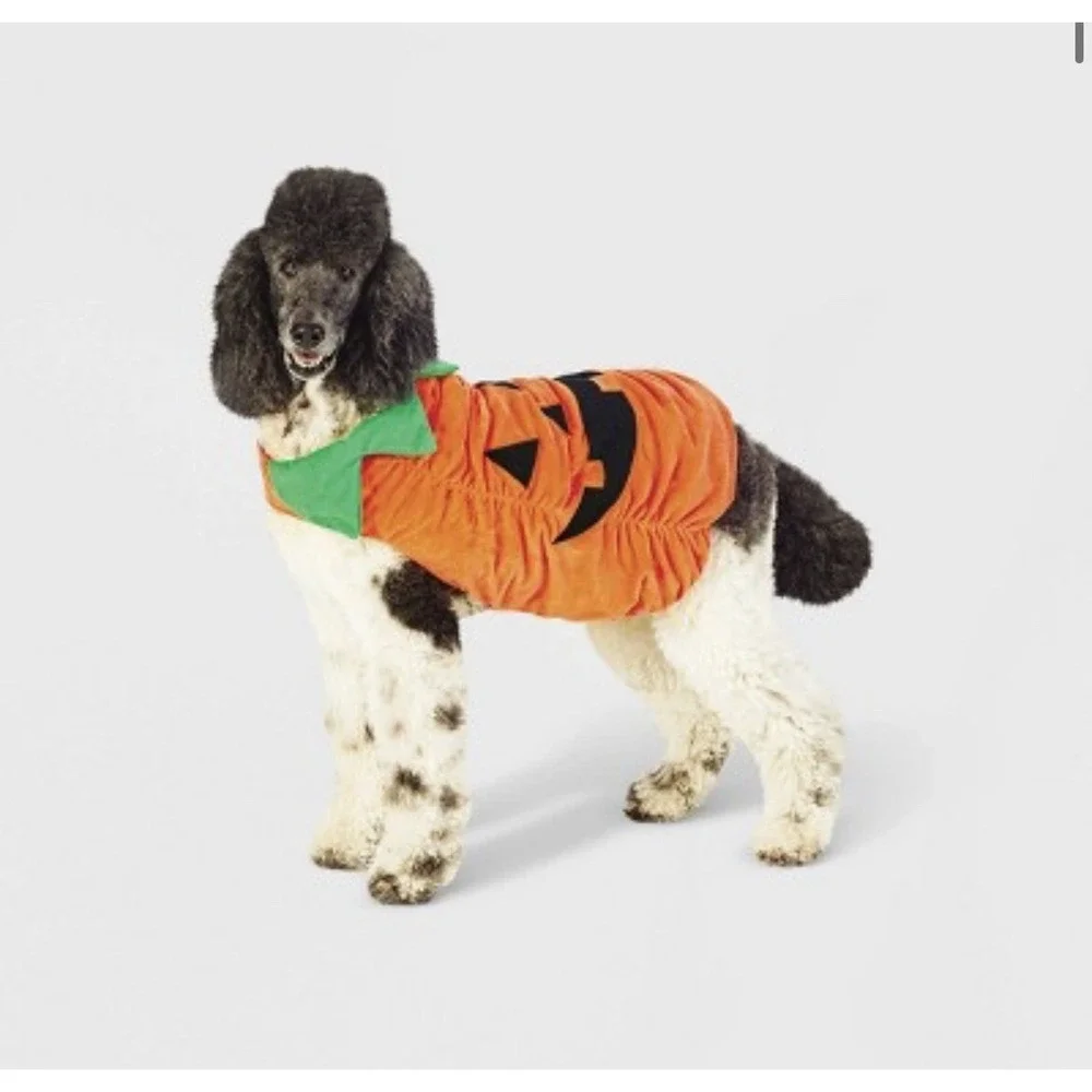 Pumpkin Pet Costume Vest Orange Medium Dog Cat Hyde & EEK! Boutique Halloween